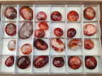Polished Carnelian Agate Gemstone Galets x 25 From Madagascar