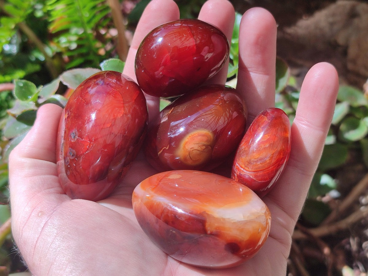 Polished Carnelian Agate Gemstone Galets x 25 From Madagascar