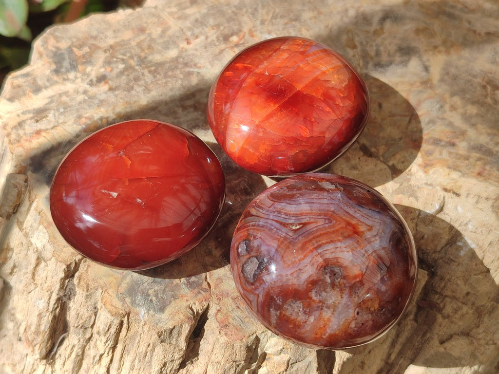 Polished Carnelian Agate Gemstone Galets x 25 From Madagascar