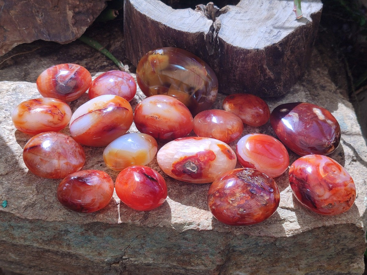 Polished Carnelian Agate Gemstone Galets x 25 From Madagascar