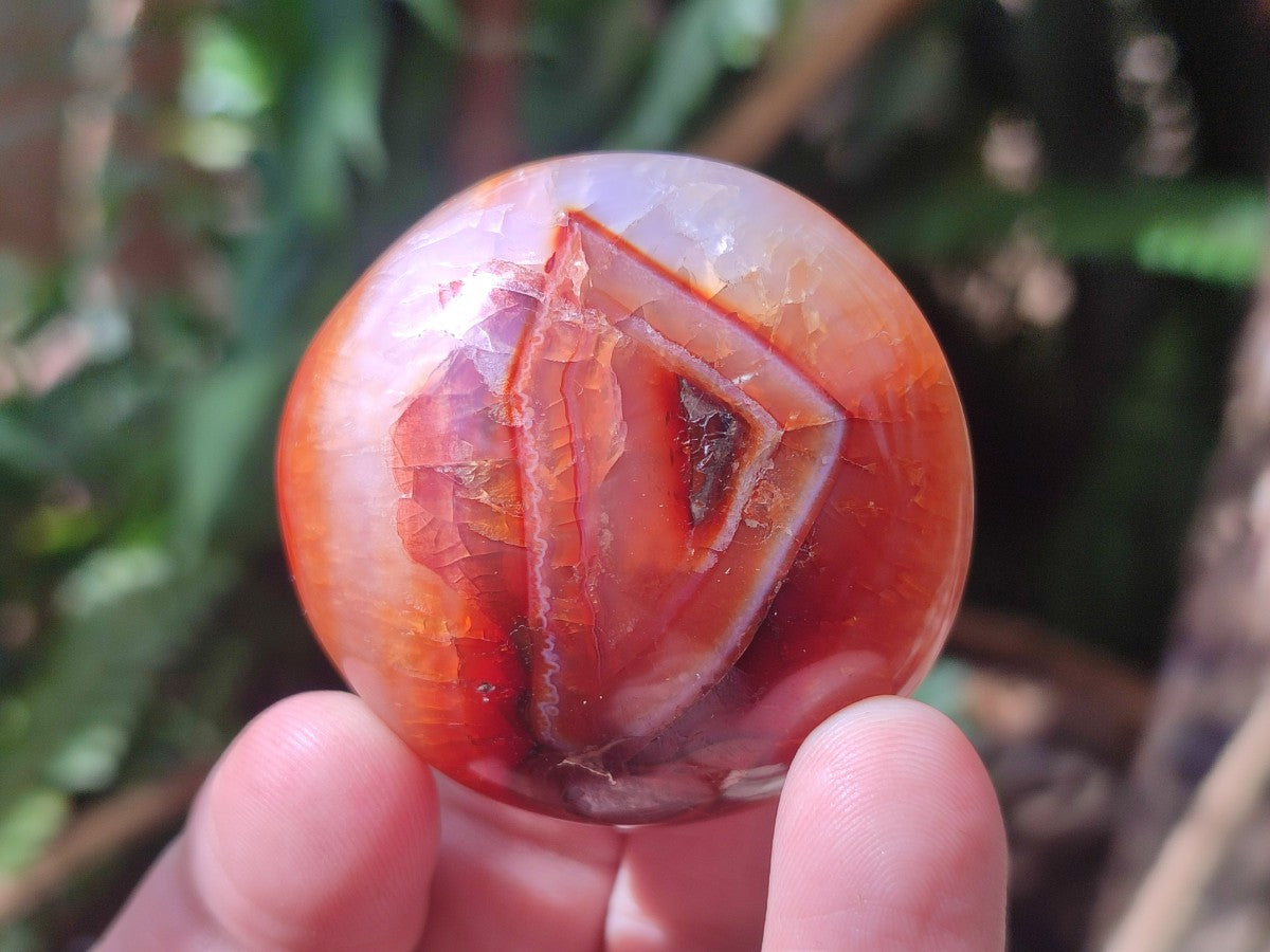 Polished Carnelian Agate Gemstone Galets x 25 From Madagascar
