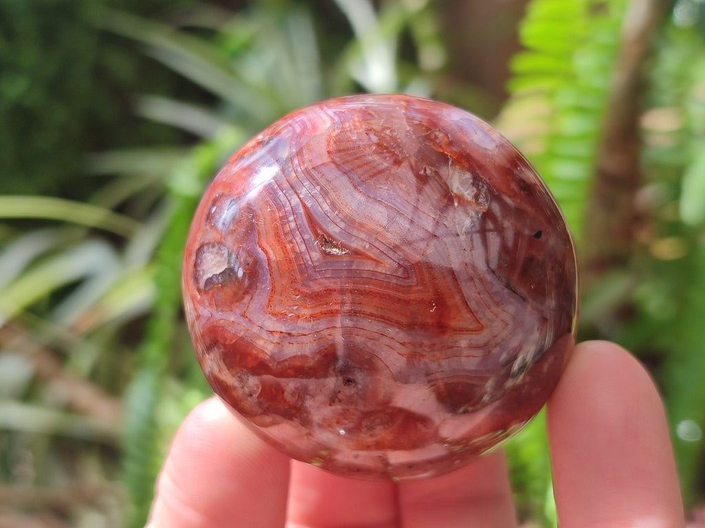 Polished Carnelian Agate Gemstone Galets x 25 From Madagascar