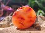 Polished Carnelian Agate Gemstone Galets x 25 From Madagascar
