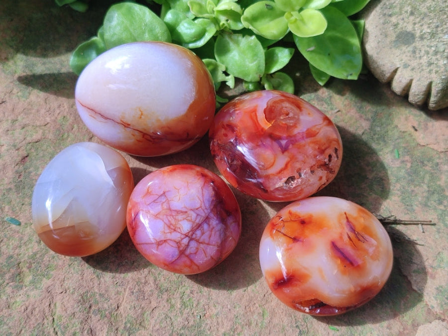 Polished Carnelian Agate Gemstone Galets x 25 From Madagascar