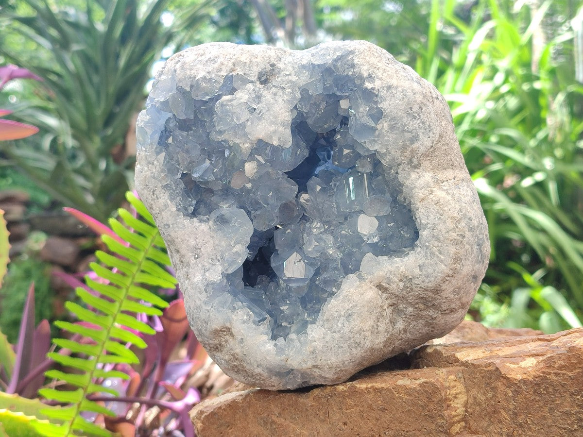 Natural Medium Large Blue Celestite Geode Specimen x 1 From Sakoany, Madagascar