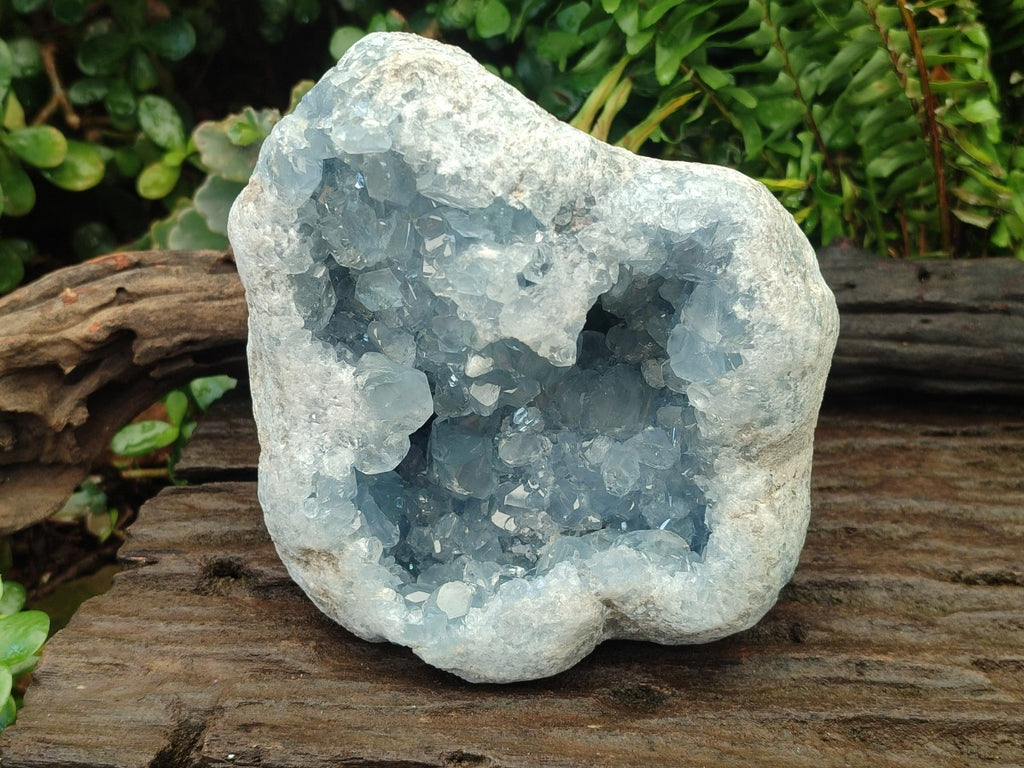 Natural Medium Large Blue Celestite Geode Specimen x 1 From Sakoany, Madagascar