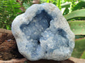 Natural Medium Large Blue Celestite Geode Specimen x 1 From Sakoany, Madagascar