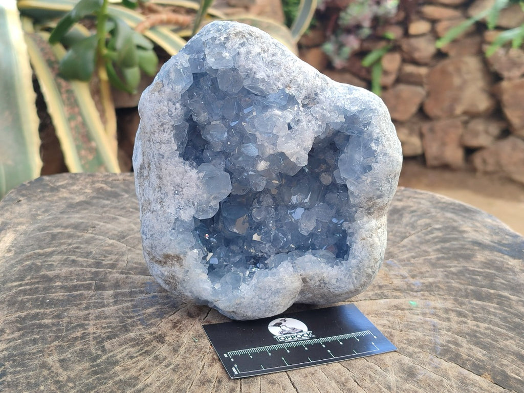 Natural Medium Large Blue Celestite Geode Specimen x 1 From Sakoany, Madagascar