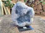 Natural Medium Large Blue Celestite Geode Specimen x 1 From Sakoany, Madagascar