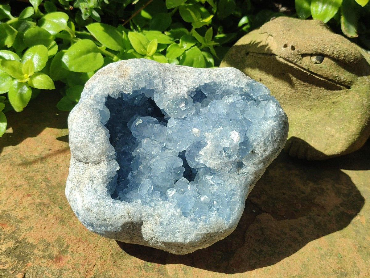 Natural Medium Large Blue Celestite Geode Specimen x 1 From Sakoany, Madagascar