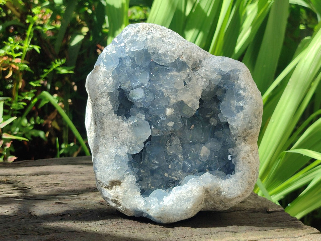 Natural Medium Large Blue Celestite Geode Specimen x 1 From Sakoany, Madagascar
