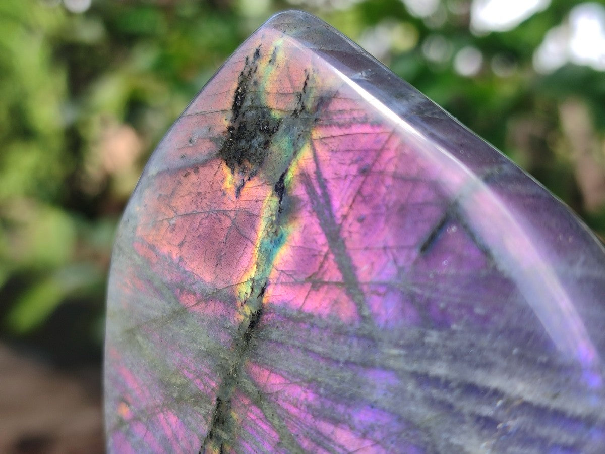 Polished Labradorite Standing Display Pieces x 2 From Madagascar