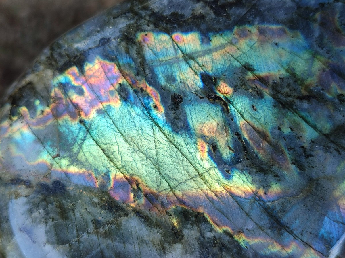 Polished Labradorite Standing Display Pieces x 2 From Madagascar