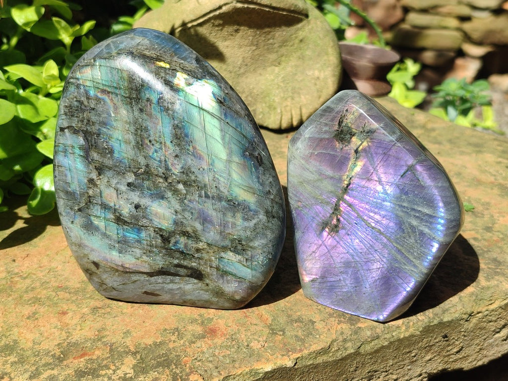 Polished Labradorite Standing Display Pieces x 2 From Madagascar