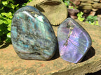 Polished Labradorite Standing Display Pieces x 2 From Madagascar