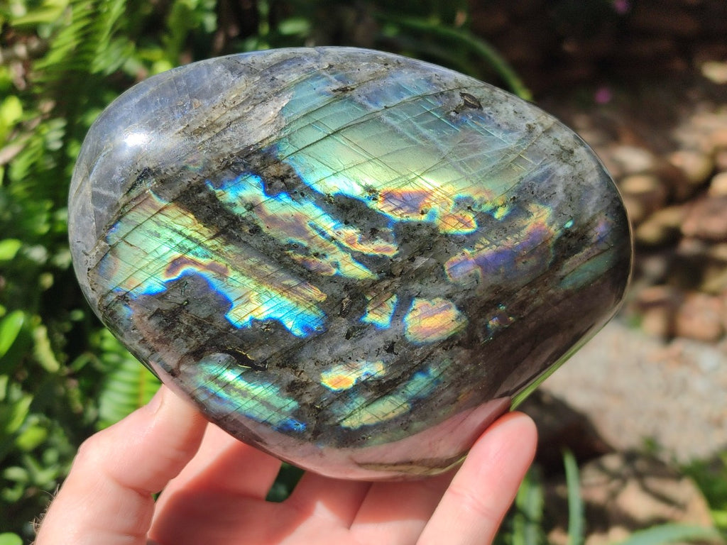 Polished Labradorite Standing Display Pieces x 2 From Madagascar