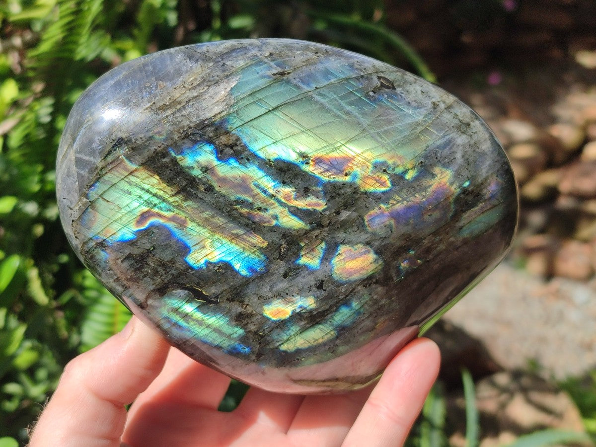 Polished Labradorite Standing Display Pieces x 2 From Madagascar