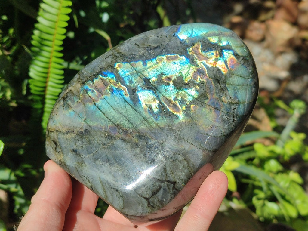 Polished Labradorite Standing Display Pieces x 2 From Madagascar