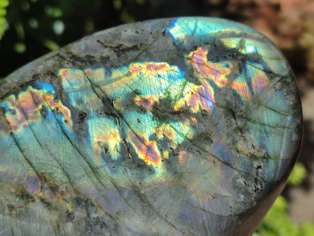 Polished Labradorite Standing Display Pieces x 2 From Madagascar