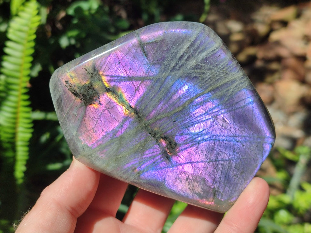 Polished Labradorite Standing Display Pieces x 2 From Madagascar