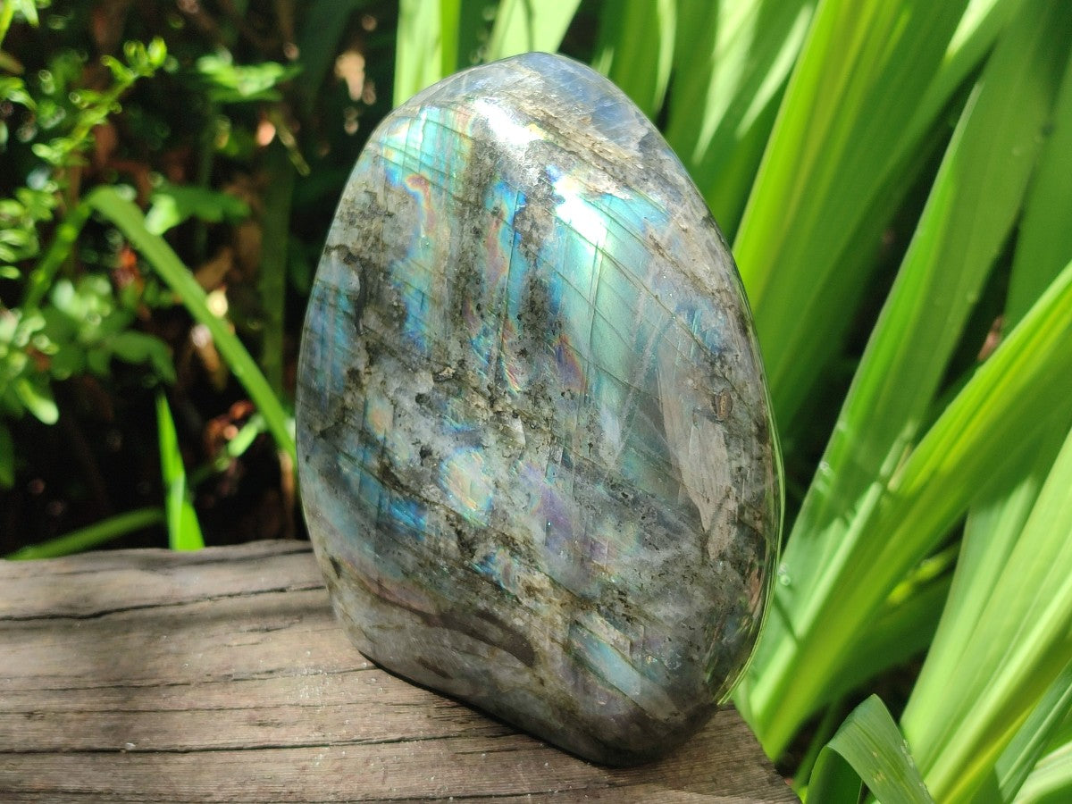 Polished Labradorite Standing Display Pieces x 2 From Madagascar