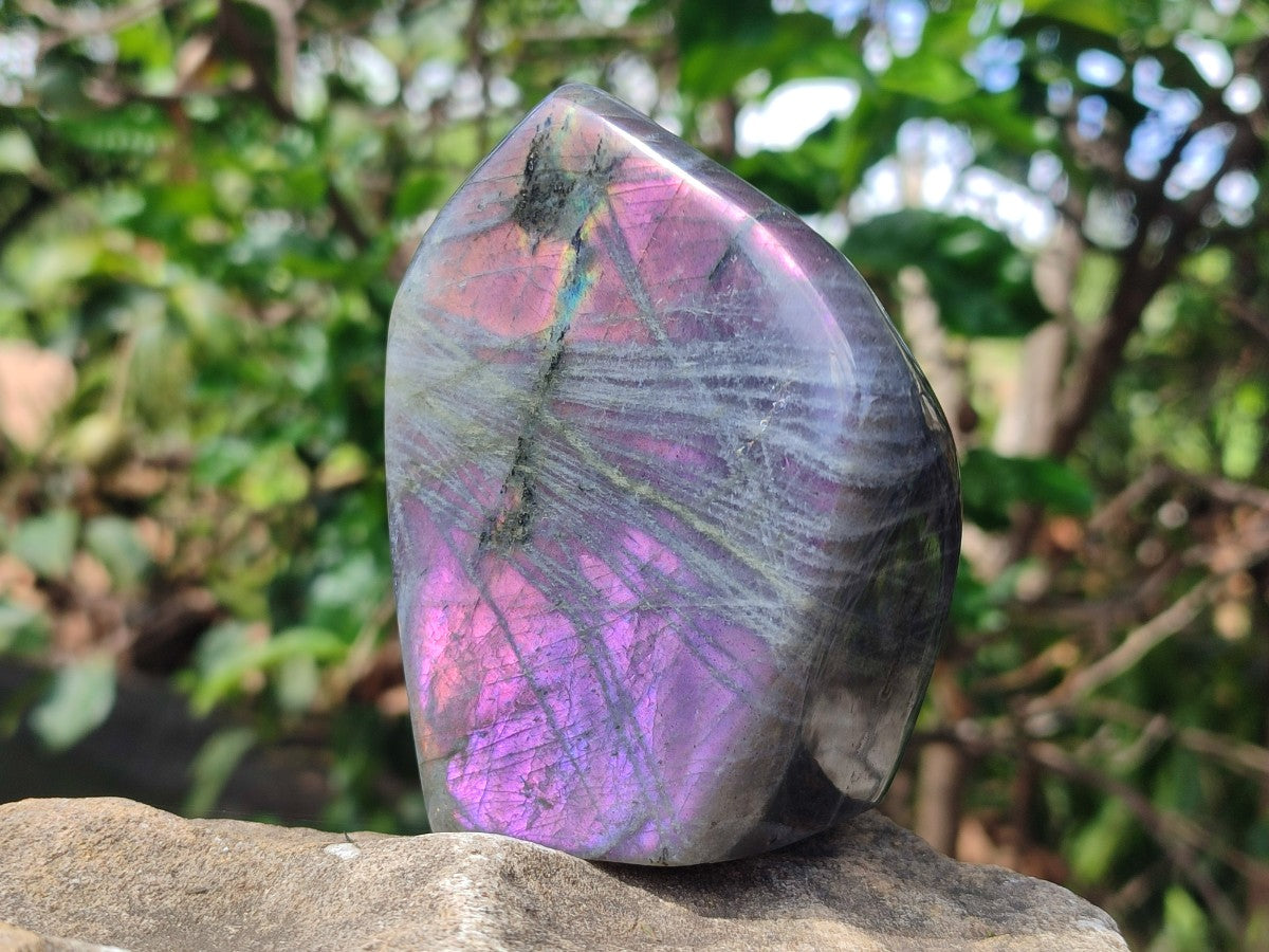 Polished Labradorite Standing Display Pieces x 2 From Madagascar