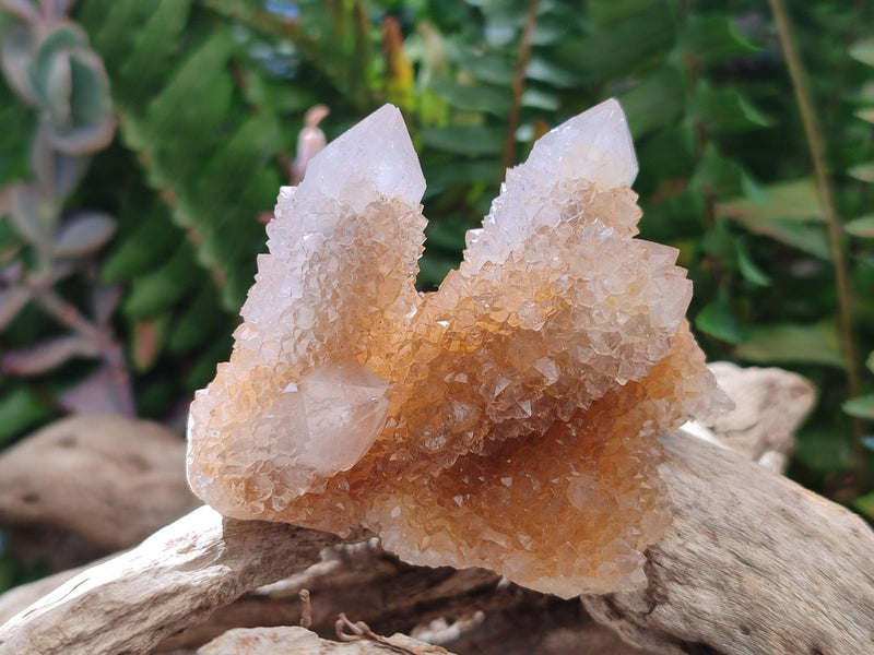 Natural Spirit Quartz Clusters x 12 From Boekenhouthoek, South Africa