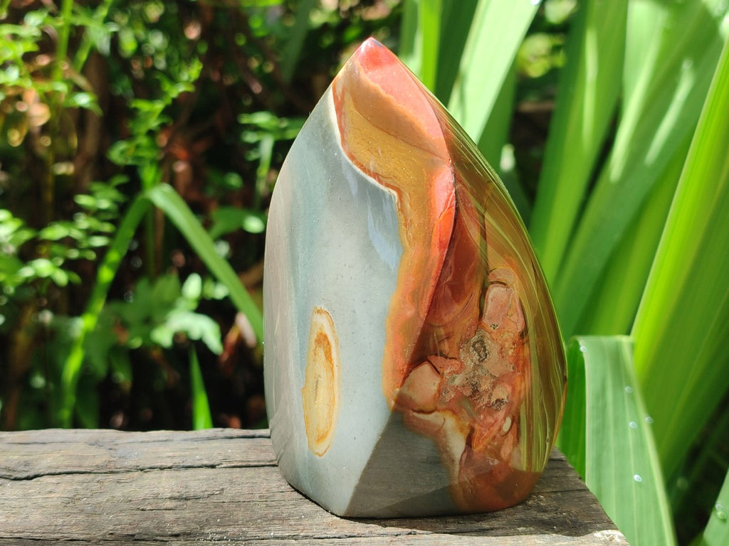 Polished Polychrome Jasper Standing Flame Display Pieces x 6 From Androka, Madagascar