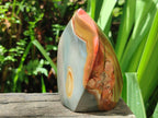 Polished Polychrome Jasper Standing Flame Display Pieces x 6 From Androka, Madagascar