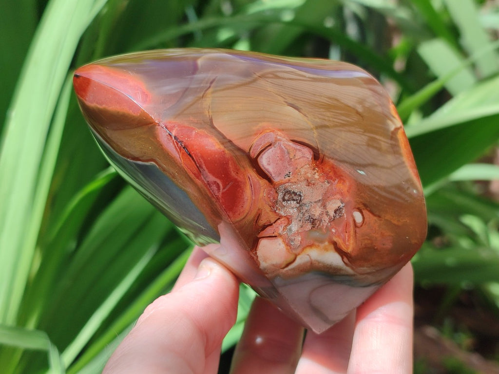 Polished Polychrome Jasper Standing Flame Display Pieces x 6 From Androka, Madagascar