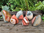 Polished Polychrome Jasper Standing Flame Display Pieces x 6 From Androka, Madagascar