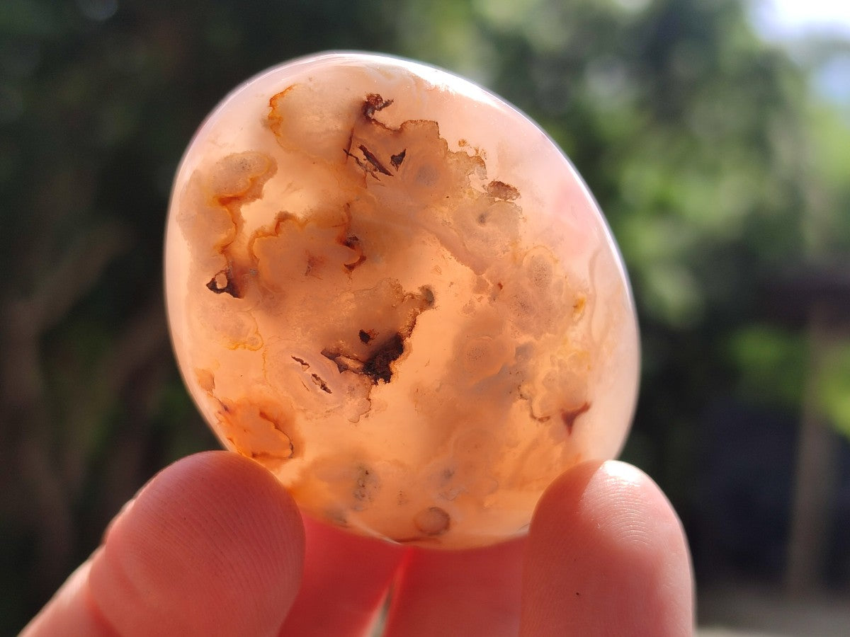 Polished Flower Agate Free Forms x 20 From Antsahalova, Madagascar