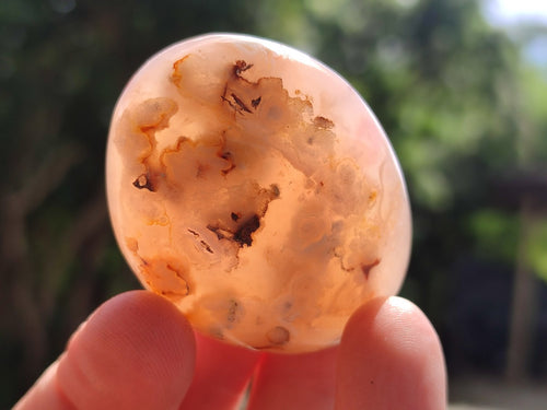 Polished Flower Agate Free Forms x 20 From Antsahalova, Madagascar
