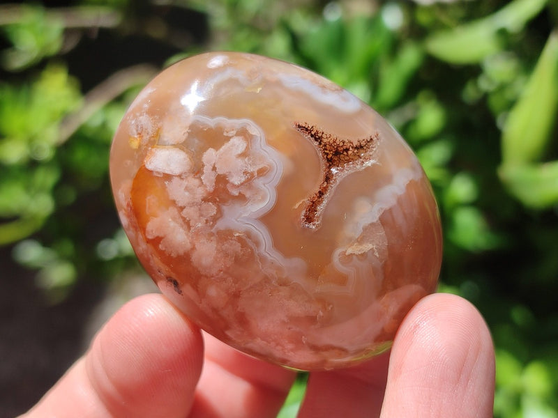 Polished Flower Agate Free Forms x 20 From Antsahalova, Madagascar