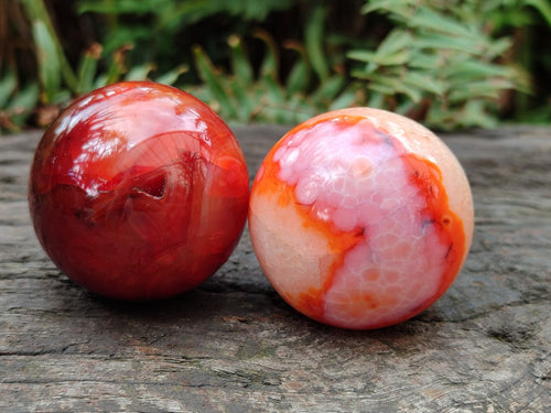 Polished Carnelian Agate Gemstone Spheres x 12 From Madagascar
