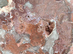 Polished and Natural Red and Grey Podocarpus Petrified Wood Slices x 2 From Marovoay, Madagascar