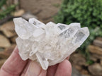 Natural Single Clear Quartz Crystals  x 12 From Mpika, Zambia - Toprock Gemstones and Minerals 