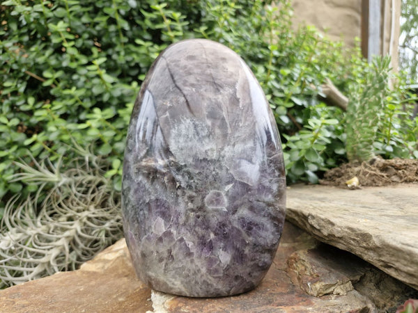 Polished Smokey Dream Amethyst Standing Free Form x 1 From Madagascar - Toprock Gemstones and Minerals 