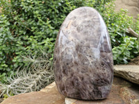 Polished Smokey Dream Amethyst Standing Free Form x 1 From Madagascar - Toprock Gemstones and Minerals 