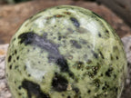 Polished Spotted Leopard Stone Spheres  x 2 From Zimbabwe - Toprock Gemstones and Minerals 