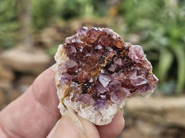 Natural Small Mixed Spirit Quartz Specimens  x 35 From Boekenhouthoek, South Africa - Toprock Gemstones and Minerals 
