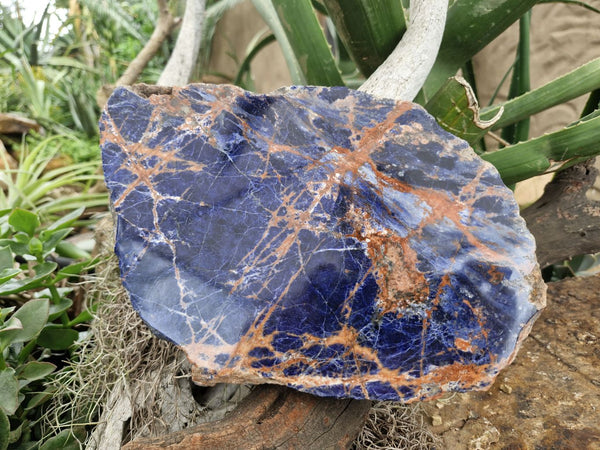 Polished Large Blue Sodalite Slab  x 1 From Namibia - Toprock Gemstones and Minerals 