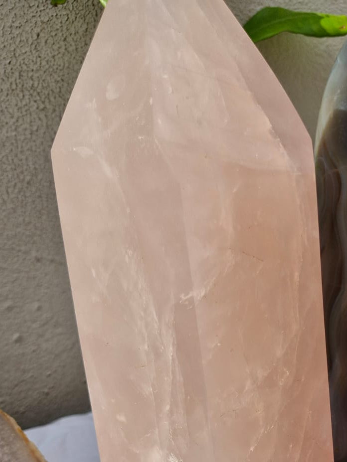 (+12 WEEKS!) Polished XL Rose Quartz Display Tower x 1 From Ambatondrazaka, Madagascar