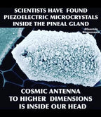 Polished Emerald Mica Piezoelectric Pendants - sold per piece - From Bulwer, South Africa - Toprock Gemstones and Minerals 