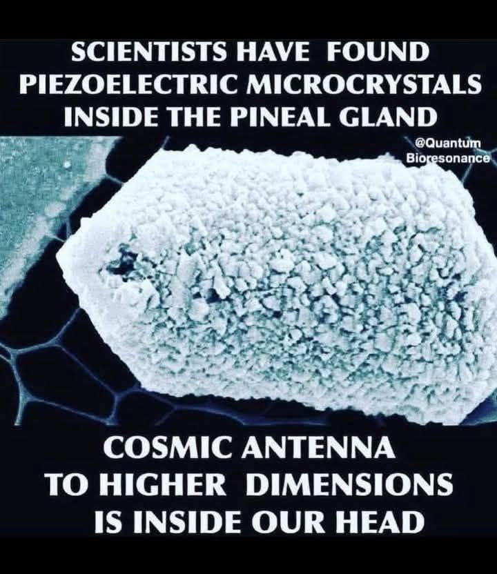 Polished Emerald Mica Piezoelectric Pendants - sold per piece - From Bulwer, South Africa - Toprock Gemstones and Minerals 