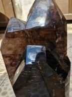 (+12 WEEKS!) Polished Large Cascading Twin Terminated Dark Smokey Quartz Crystal x 1 From Ambatondrazaka, Madagascar