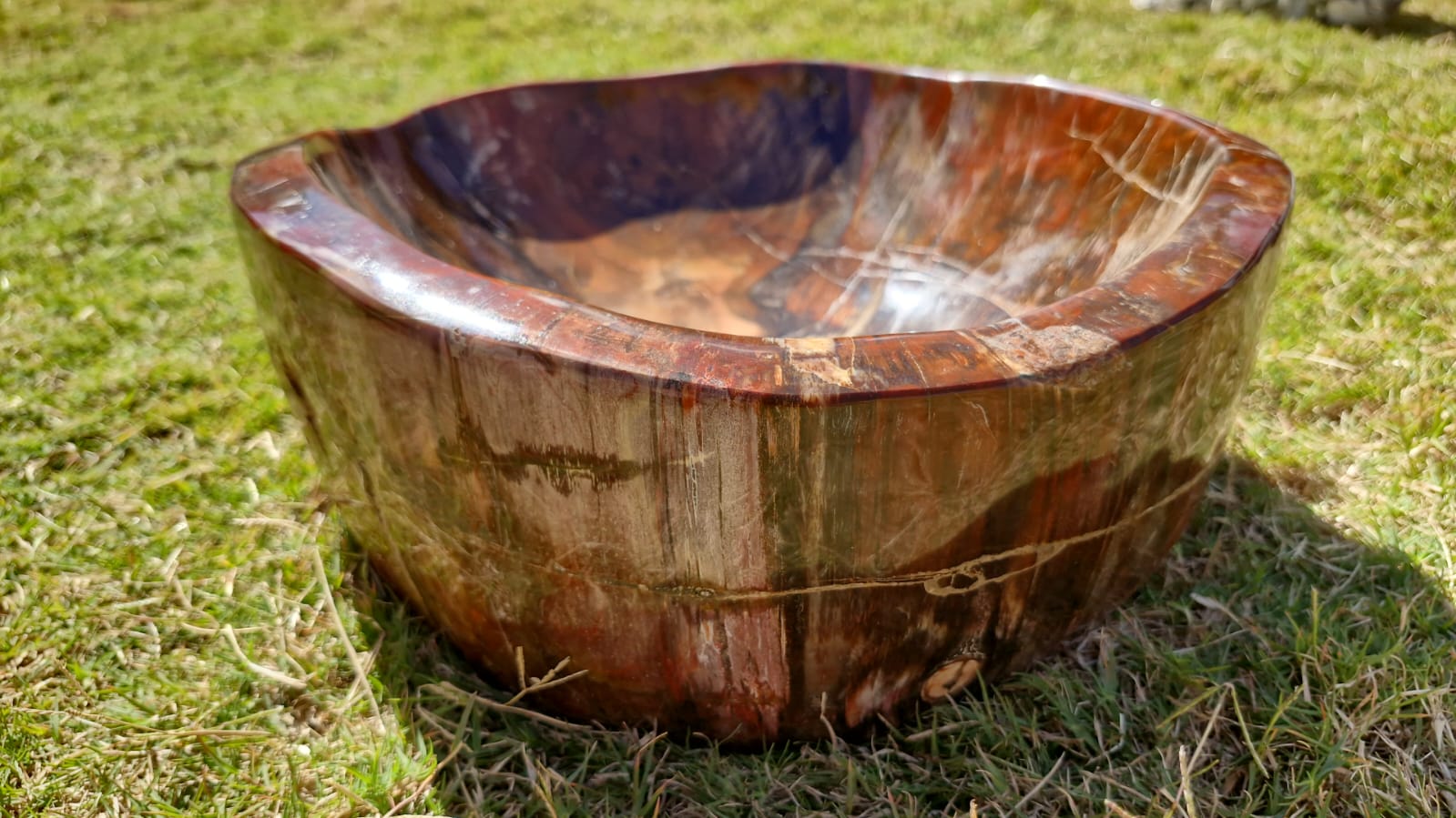 (+12 WEEKS!) Polished XL Red Podocarpus Petrified Wood Bowl x 1 From Marovoay, Madagascar