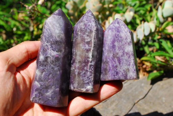 Polished Lepidolite Crystal Points x 6 From Madagascar - TopRock