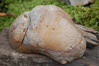 Polished Extra Large Crystal Centred Agate Geode x 1 From Maintirano, Madagascar - TopRock