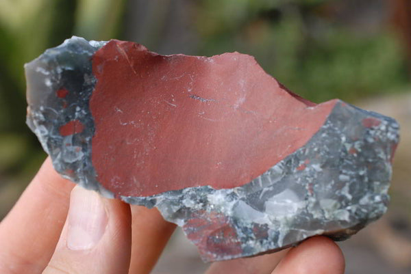 Natural Small Cobbed Bloodstone Pieces x 3.2 Kg Lot  From Swaziland - TopRock